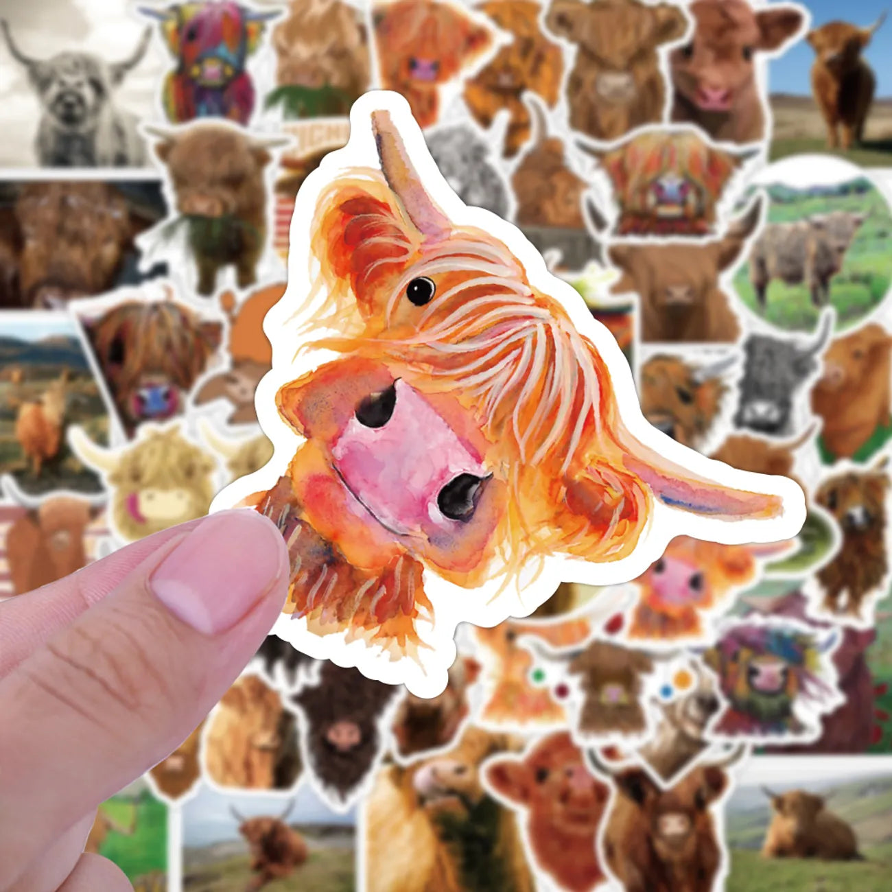 Give me more Highlands Stash