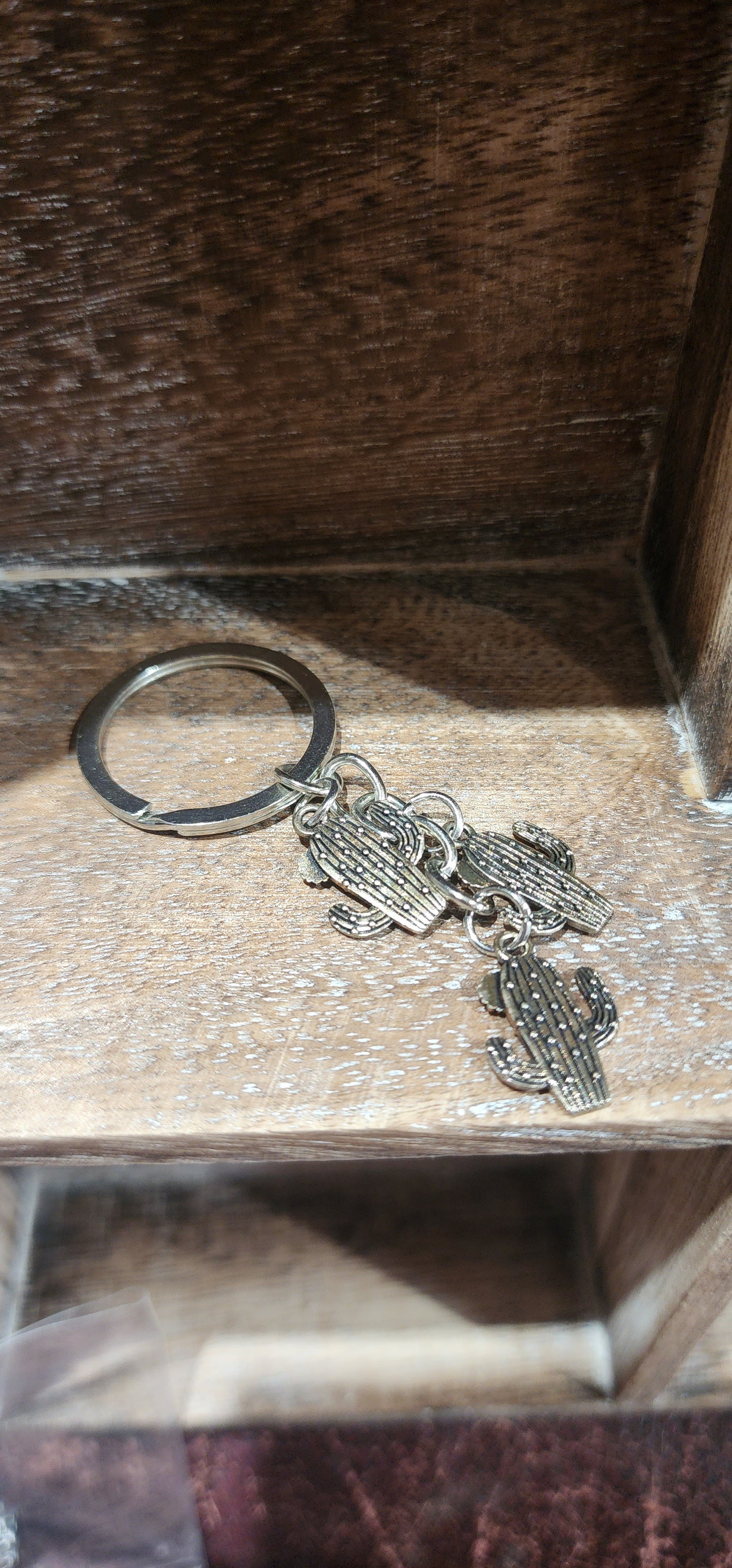 Sit on a cactus key chain