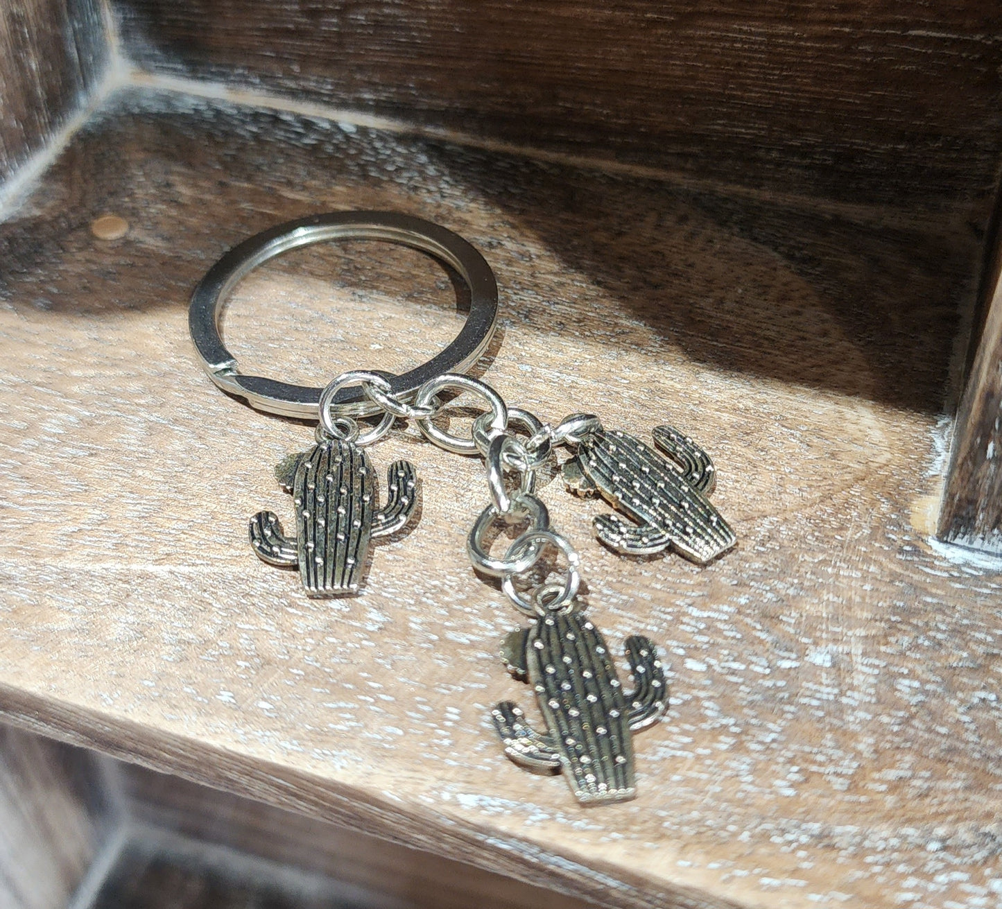 Sit on a cactus key chain