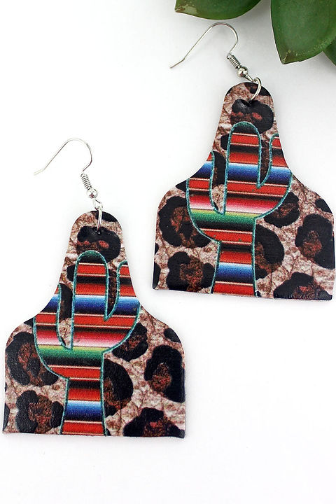 Wild Painted Desert Earrings